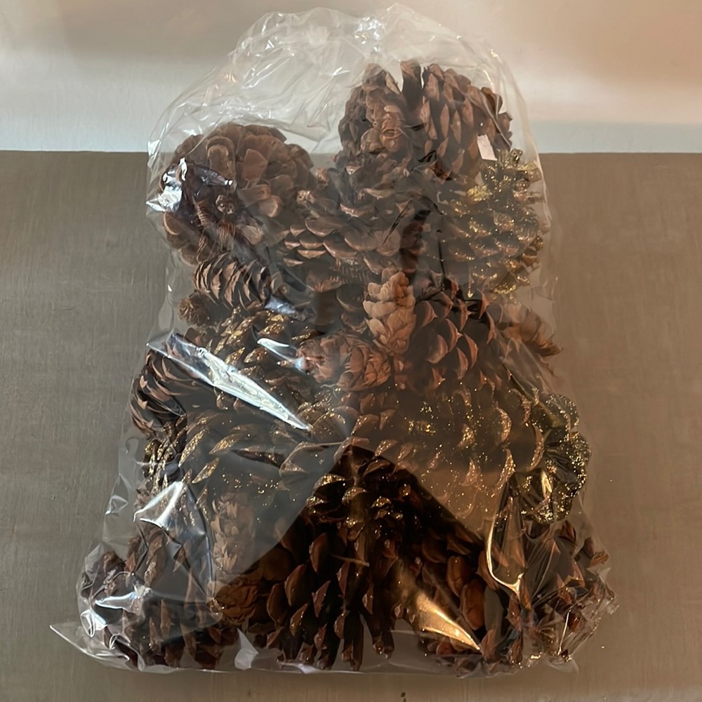 Decorative pine cones
